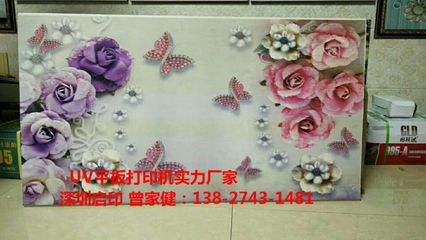 高清装饰背景墙3D立体喷绘机打印一平方的油墨成本